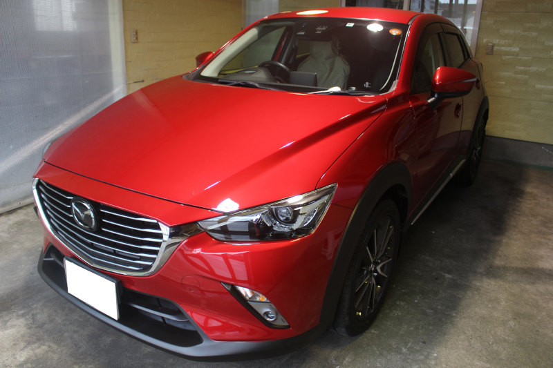 2111cx-3_6.jpg