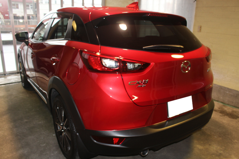 2111cx-3_7.jpg